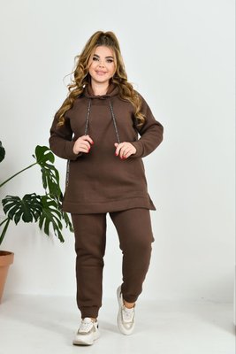 Жіночий теплий прогулянковий костюм коричневого кольору р.52 383684 383693 фото