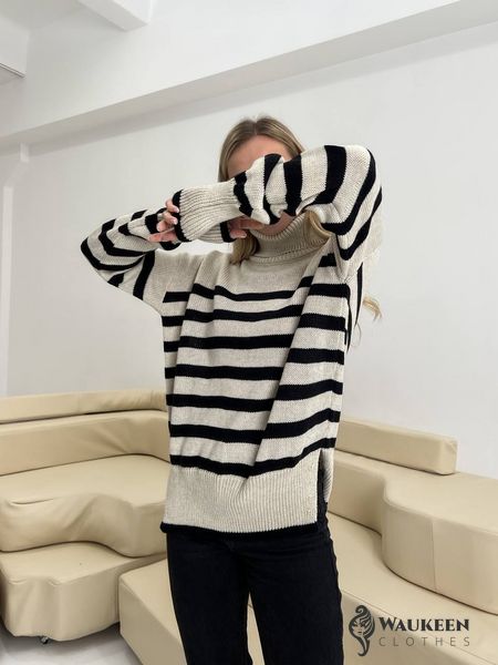 Жіночий смугастий светр колір бежевий/чорний р.42/46 444013 444013 фото