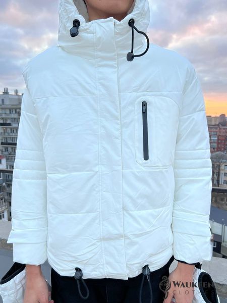 Чоловіча зимова куртка колір білий р.L 449725 449725 фото