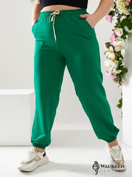 Жіночі спортивні штани двонитка зеленого кольору р.50 406181 406303 фото