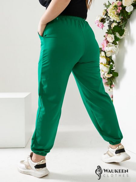 Жіночі спортивні штани двонитка зеленого кольору р.50 406181 406303 фото