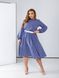 Жіноча вільна сукня із софту колір фіолетовий р.48/52 450553 450553 фото 1