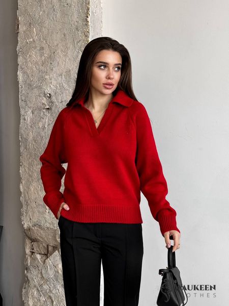 Жіночий светр-поло колір червоний р.42/46 450415 450415 фото