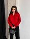 Жіночий светр-поло колір червоний р.42/46 450415 450415 фото 7
