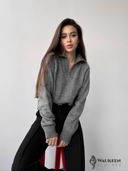 Жіночий светр-поло колір сірий р.42/46 450414 450414 фото
