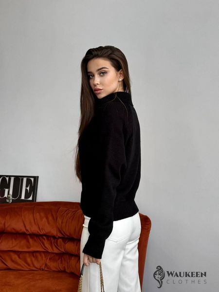 Жіночий светр-поло колір чорний р.42/46 450412 450412 фото
