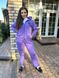 Жіночий теплий прогулянковий костюм колір фіолет р.54/56 444248 444241 фото 3