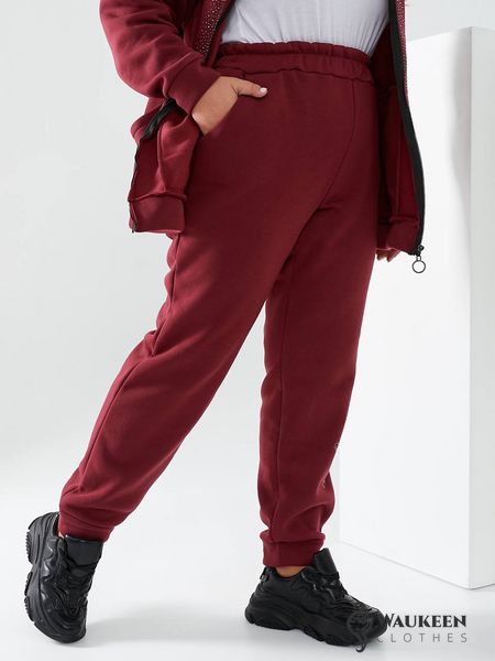 Жіночий теплий спортивний костюм колір бордо р.52/54 443426 443426 фото