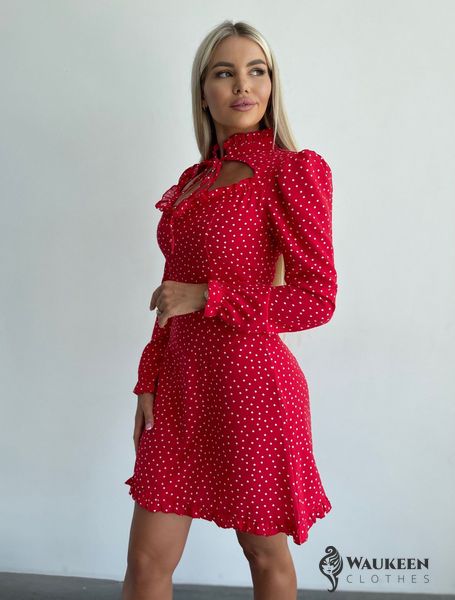 Жіноча сукня із софту колір червоний р.46/48 452355 452355 фото