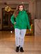 Жіноча весняна куртка колір трава р.48/50 450009 450009 фото 1