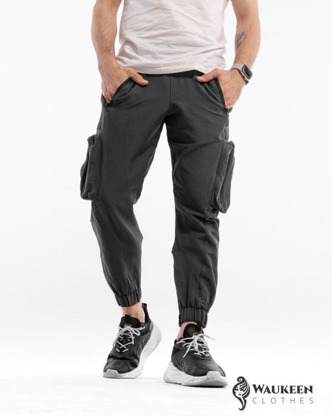 Мужские брюки карго "Stinger" цвет серый р.2XL 449263 449263 фото