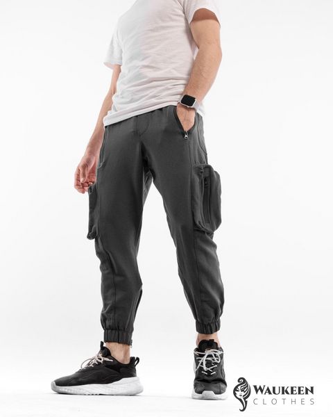 Чоловічі штани карго "Stinger" колір сірий р.M 449260 449260 фото
