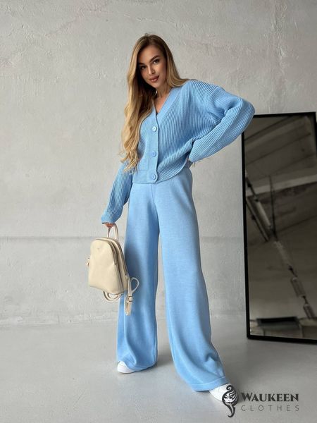 Жіночий прогулянковий костюм двійка колір блакитний 432606 432606 фото