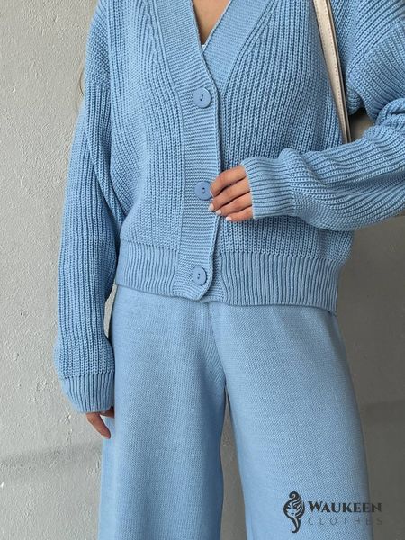 Жіночий прогулянковий костюм двійка колір блакитний 432606 432606 фото