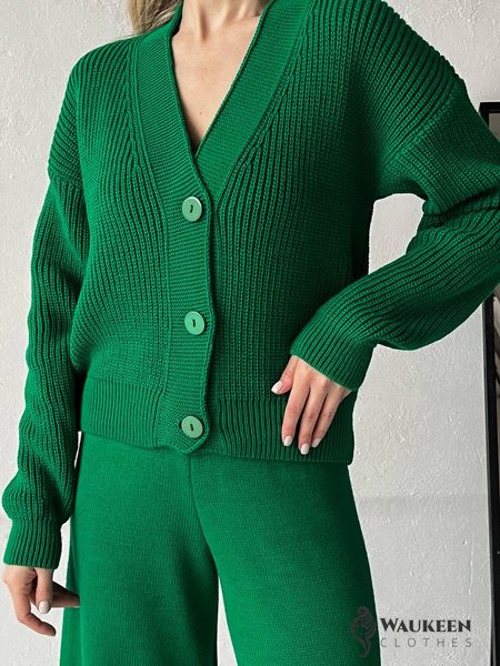Жіночий прогулянковий костюм двійка колір зелений р.42/46 432611 432611 фото