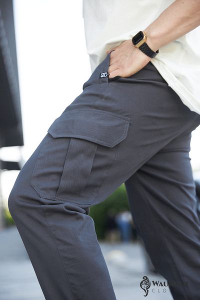 Чоловічі штани NAVI CARGO колір графіт р.S 452930 452930 фото