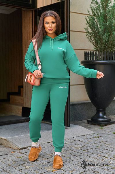 Жіночий спортивний костюм теплий колір зелений р.44/46 441783 441783 фото