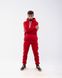 Чоловічий спортивний костюм Alex колір червоний р.2XXL 442224 442224 фото 1
