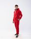 Чоловічий спортивний костюм Alex колір червоний р.2XXL 442224 442224 фото 4