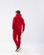 Чоловічий спортивний костюм Alex колір червоний р.2XXL 442224 442224 фото 9