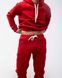 Чоловічий спортивний костюм Alex колір червоний р.2XXL 442224 442224 фото 12