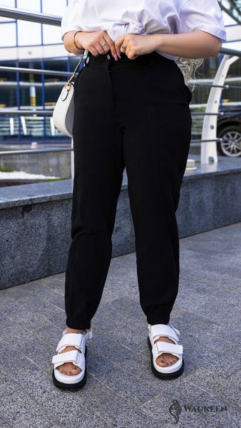 Жіночі льняні штани колір чорний р.48/50 455573 455573 фото