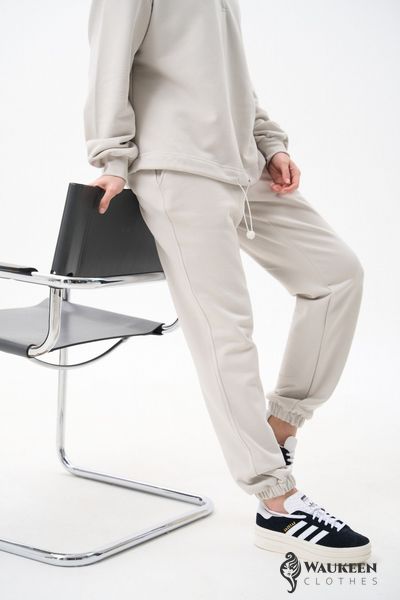 Жіночий костюм худі та джогери колір бетон р.M 454086 454086 фото