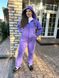 Жіночий теплий прогулянковий костюм колір фіолет р.58/60 444249 444241 фото 1
