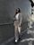 Жіночий ангоровий костюм прогулянковий колір бежевий р.42/46 449188 449188 фото