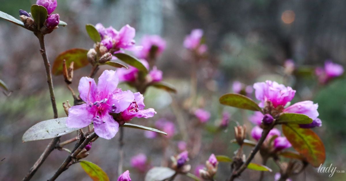 Гороскоп на 2 квітня для всіх знаків зодіаку: день, коли не можна здійснювати спонтанні вчинки